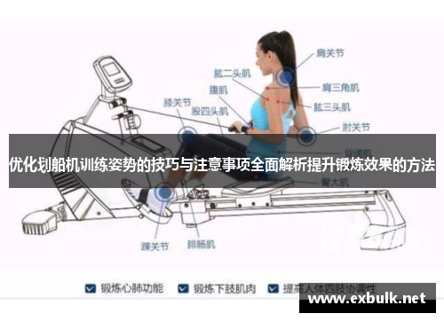 优化划船机训练姿势的技巧与注意事项全面解析提升锻炼效果的方法