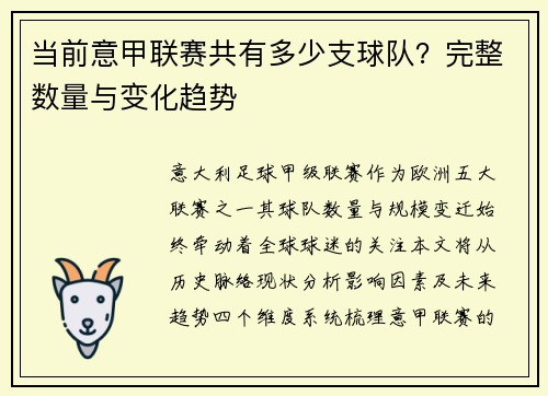 当前意甲联赛共有多少支球队？完整数量与变化趋势